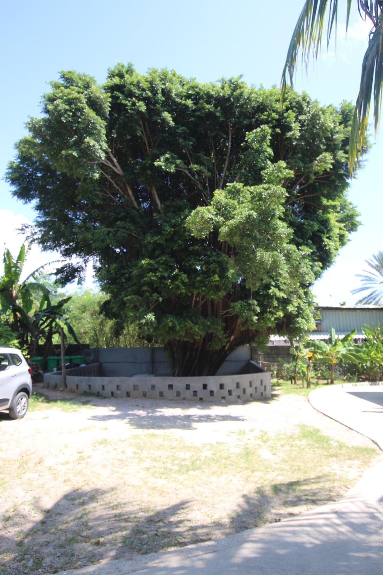 Pointe Au Sel Castaway Lodge מראה חיצוני תמונה