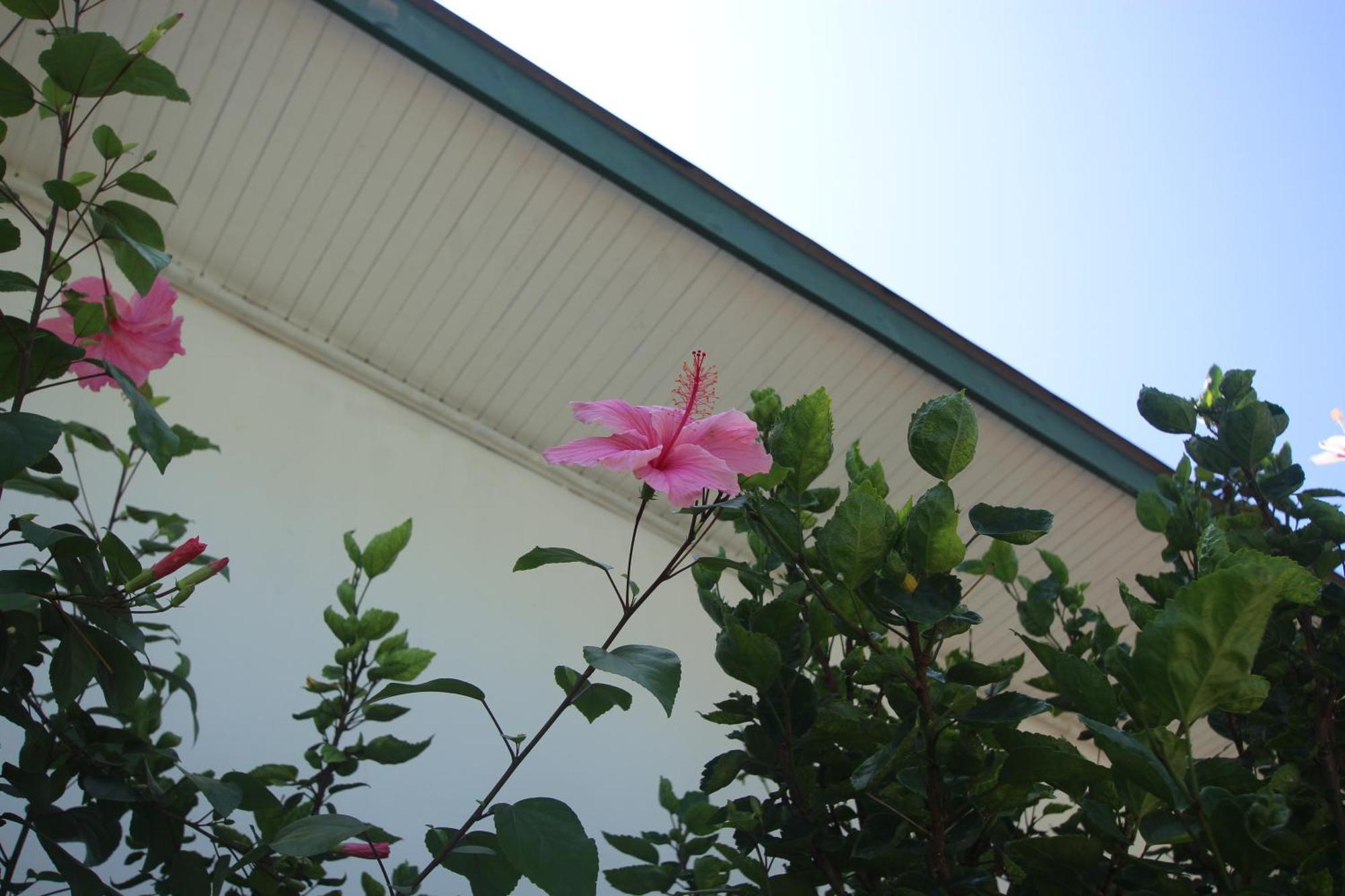 Pointe Au Sel Castaway Lodge מראה חיצוני תמונה