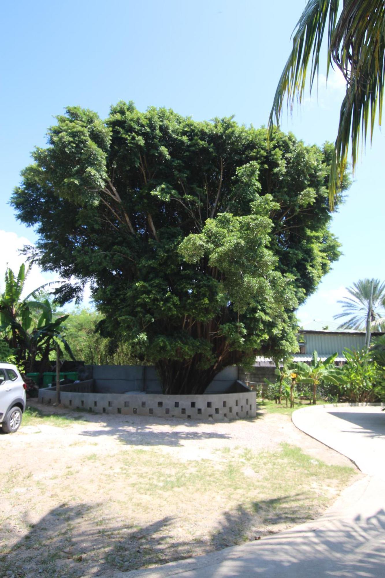 Pointe Au Sel Castaway Lodge מראה חיצוני תמונה