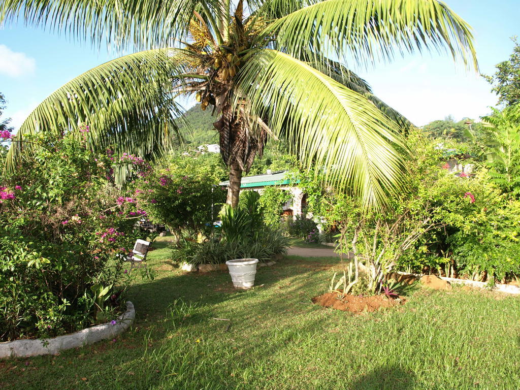 Pointe Au Sel Castaway Lodge מראה חיצוני תמונה
