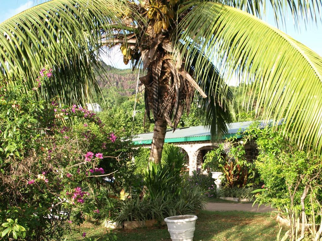 Pointe Au Sel Castaway Lodge מראה חיצוני תמונה